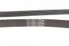 Пас поліклиновий Chevrolet Captiva/Cruze 2.2D 11-/ Contitech 6PK2220 EXTRA (фото 3)