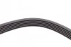 Пас поліклиновий VW T4 2.4D/2.5/2.5TDI 90-03/Lexus Contitech 6PK2236 (фото 3)