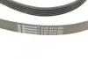 Ремень генератора W202/210 M112/113 97&gt; (WP,PS) Contitech 6PK2310 (фото 3)