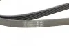 Ремень генератора W202/210 M112/113 97&gt; (WP,PS) Contitech 6PK2310 (фото 4)