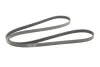 Ремень генератора W202/210 M112/113 97&gt; (WP,PS) Contitech 6PK2310 (фото 5)