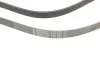 Ремень генератора Crafter 2.5TDI 06&gt; (+AC) Contitech 6PK2581 (фото 4)