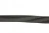 Доріжковий пас Contitech 6PK691 ELAST (фото 2)