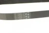Доріжковий пас Contitech 6PK691 ELAST (фото 3)