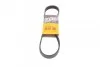 Ремень поликлиновой Conti 6PK831ELAST