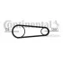 Дорiжковий ремінь 6PK831 ELAST T1