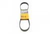 Ремень поликлиновой Conti 6PK880