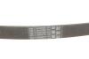 Дорожный пас Contitech 6PK922EXTRA (фото 4)