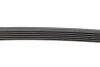 Пас поліклиновий генератора Mazda 6 2.5 13-/Toyota Corolla 1. Contitech 6PK970 (фото 3)