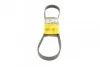 Ремінь поліклиновий PSA Berlingo Partner II 1,6d 08> , Ford Fiesta 1,4d 08> (6PK976) ContiTech