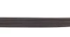 Пас поліклиновий BMW 7 (E38) 94-01/Nissan Juke/Qas Contitech 7PK1040 (фото 4)