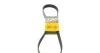 Ремень поликлиновой Conti 7PK1093