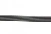 Пас поліклиновий Nissan Qashqai 1.6 07-13/Toyota L Contitech 7PK1153 (фото 2)