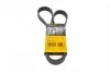 Ремень поликлиновой Conti 7PK1272
