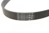 Ремінь Contitech 7PK1325 (фото 3)