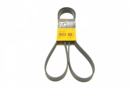 Ремень поликлиновый 7PK1800 Contitech 7PK1801