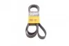 Ремень поликлиновой Conti 7PK2271