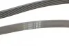 Пас поліклиновий Hyundai H-1/Starex/Kia Sorento 2. Contitech 7PK2283 (фото 3)