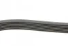 Пас поліклиновий Audi A8/VW Phaeton 4.2D 02-16 Contitech 7PK2535 (фото 2)