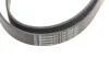 Пас поліклиновий Transit 2.2 TDCi 11- (+AC) Contitech 7PK3120 (фото 4)