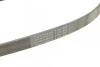 Ручейковый ремень Contitech 7PK880 (фото 4)
