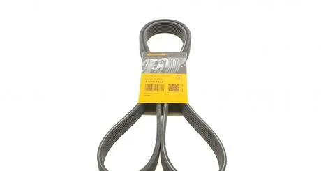 Ремень поликлиновой Conti Contitech 8DPK1833