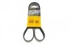 Ремень поликлиновой Conti 8PK1226