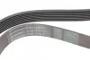 Ремень генератора Atego OM904 Contitech 8PK1480 (фото 3)