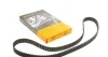 Ремень ГРМ Caddy II 1.9D >12/00 CONTITECH CT1012
