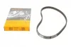Пас ГРМ Opel Ascona C/Kadett E/Vectra A 1.4/1.6 86 CT558 