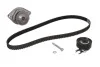 Комплект ГРМ, пас+ролик+помпа CT846WP2