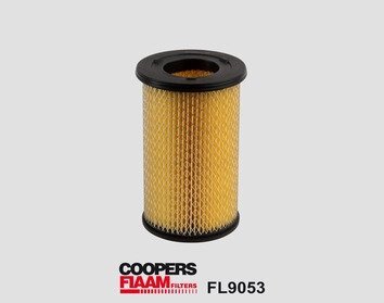 Фільтр повітряний COOPERSFIAAM FILTERS FL9053