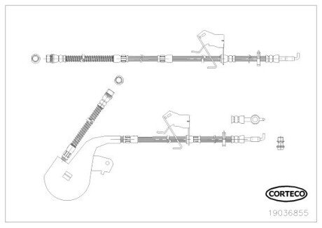 CORTECO 19036855