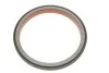 Сальник коленвала передній DAF MX265/MX300/MX340/MX375 (134X161X16) NBR CORTECO 19037229B (фото 3)