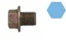 Пробка оливного отвору Corteco 220122S