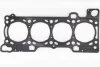 Прокладка ГБЦ Fiat Ducato/Iveco Daily 2.3JTD 02- 49134499