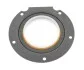 U.96,5x120x12,7 CATERPILLAR PTFE CSSLRDFT + CORTECO 49362135 (фото 1)