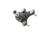 Ball Joint CORTECO 49398491 (фото 5)