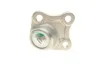 Ball Joint CORTECO 49398545 (фото 2)