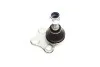 Ball Joint CORTECO 49398552 (фото 3)