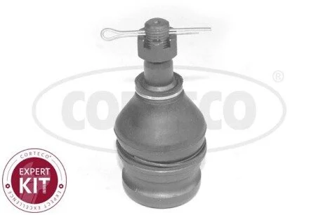 SWORZEN WAH. L/P CORTECO 49401080