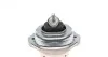 Подушка двигателя BMW X5 (E53) xDrive 2000 - 2006 (выр-во) CORTECO 80001082 (фото 2)