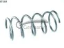 Пружина передня Citroen Berlingo/Peugeot Partner Van 2.0Hdi 96- 14873301