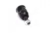 Опора шаровая нижняя Honda Accord 03-08 OLD CBHO-33 (пр-во CTR) CB0118