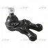 Опора шаровая нижняя Hyundai Teracan 00-06 OLD CBKH-24 (пр-во CTR) CB0189