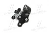 Опора кульова нижня Hyundai Tucson 09- Sonata 09-10 Kia Cerato 09- Sportage 10- CTR CB0206 (фото 2)