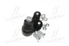 Опора шаровая нижняя L Ford C-Max 10- Focus 10- Transit Connect 14-22 OLD CBF-49L CTR CB0544L (фото 4)