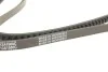 Ремінь клиновий AVX 13X1500 DAYCO 13A1500C (фото 4)