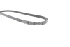 Поліклиновий ремінь DAYCO 3PK775EE (фото 4)
