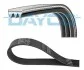 Ремінь поліклінової Dayco 3PK815